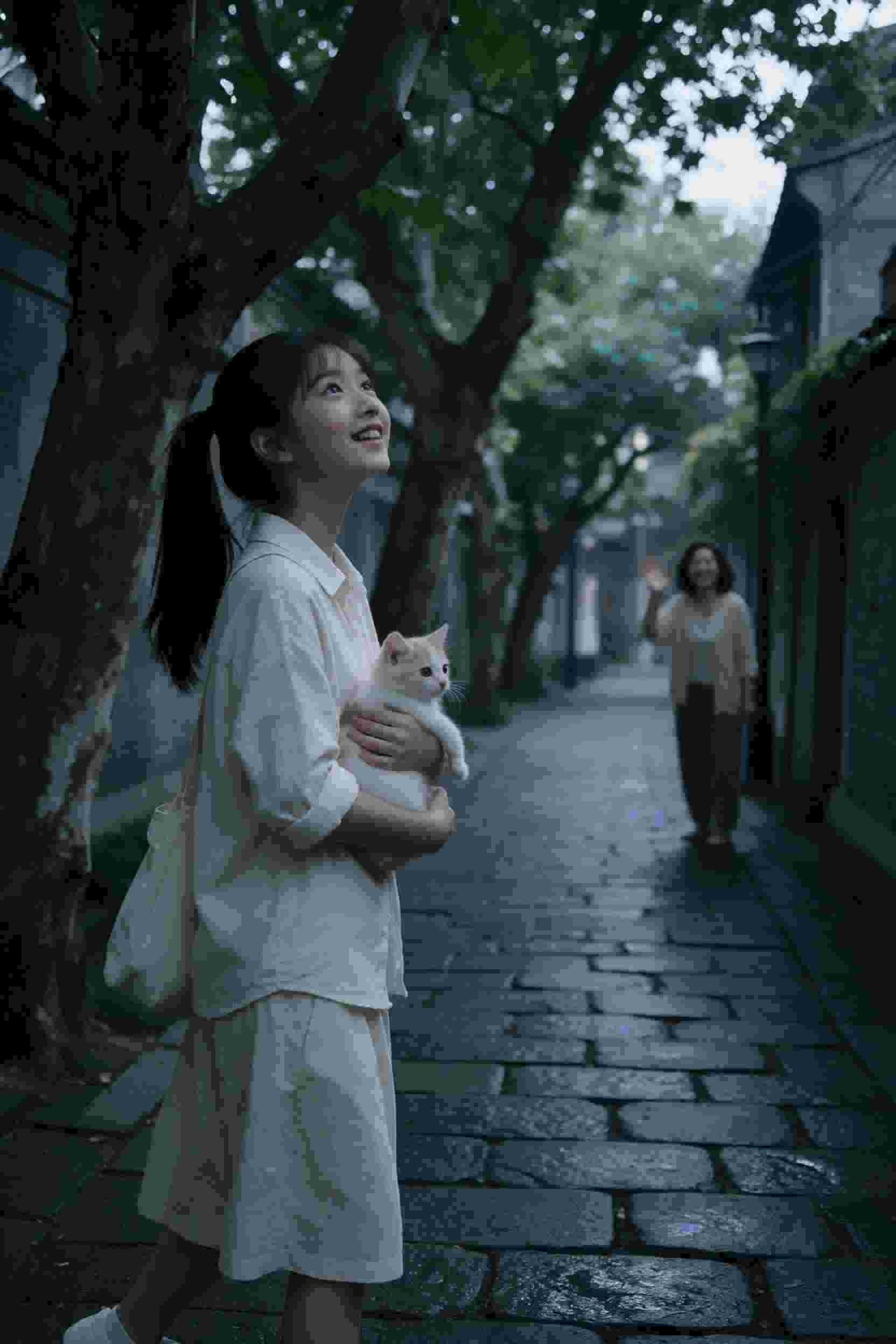 谜踪